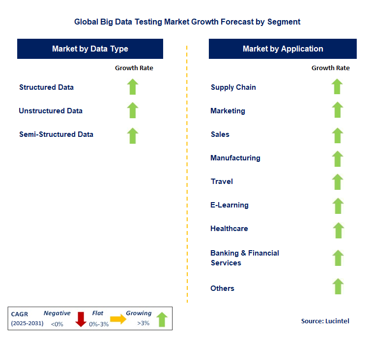 Big Data Testing Market by Segment