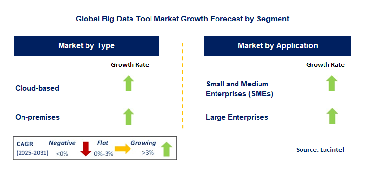 Big Data Tool Market by Segment