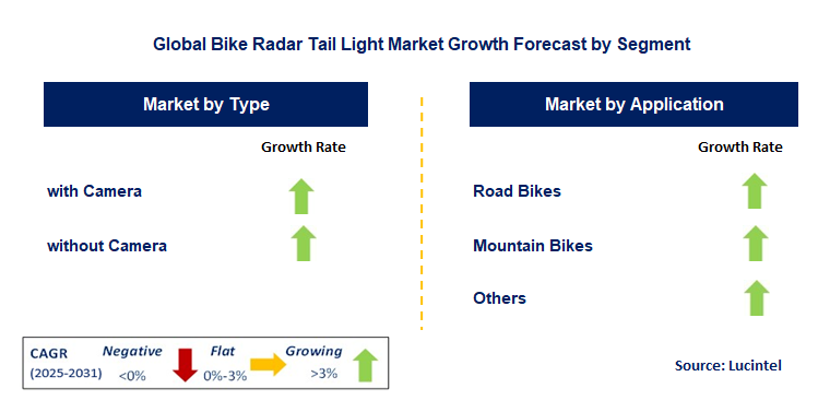 Bike Radar Tail Light Market by Segment