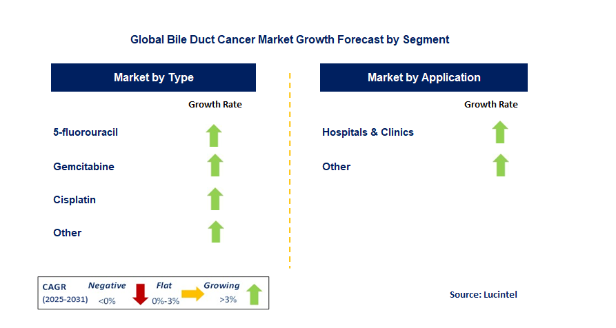 Bile Duct Cancer Market by Segment