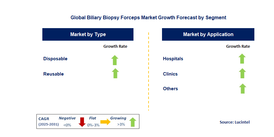 Biliary Biopsy Forceps Market by Segment