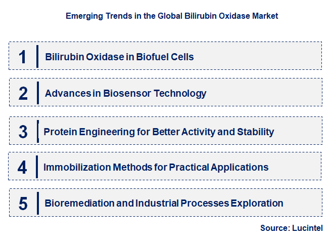 Emerging Trends in the Bilirubin Oxidase Market