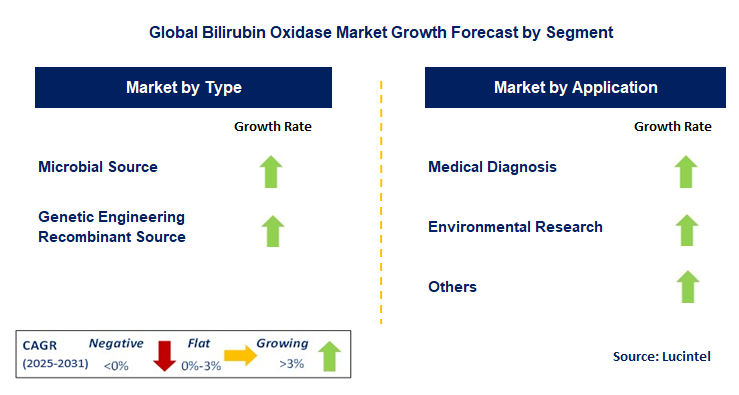 Bilirubin Oxidase Market by Segment