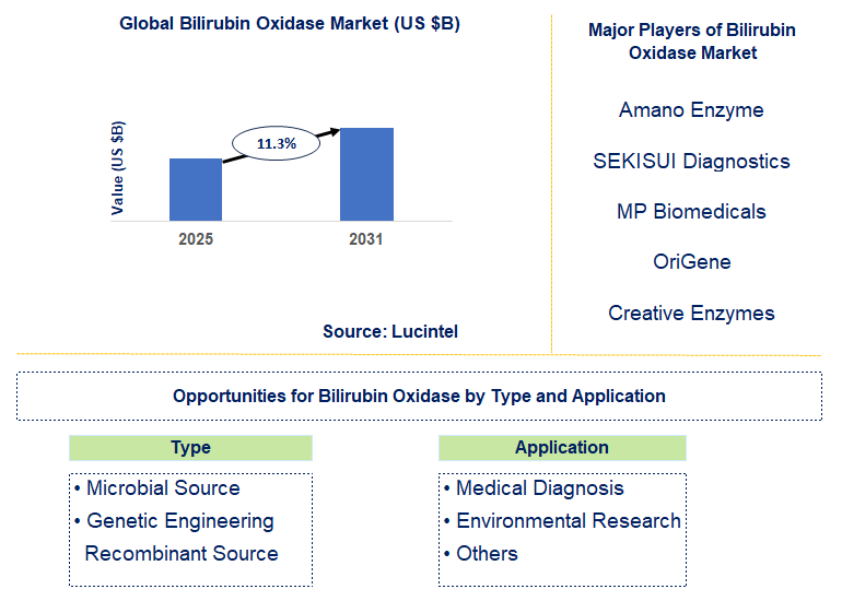 Bilirubin Oxidase Market Trends and Forecast