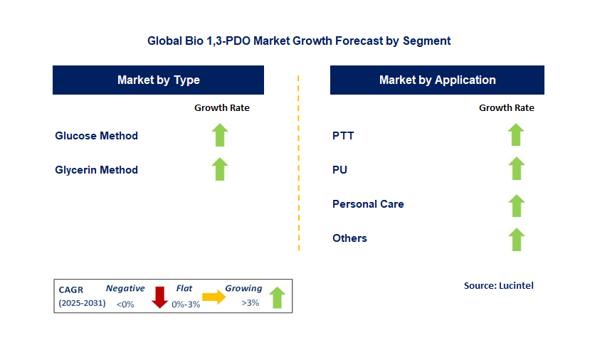 Bio 1,3-PDO Market by Segment