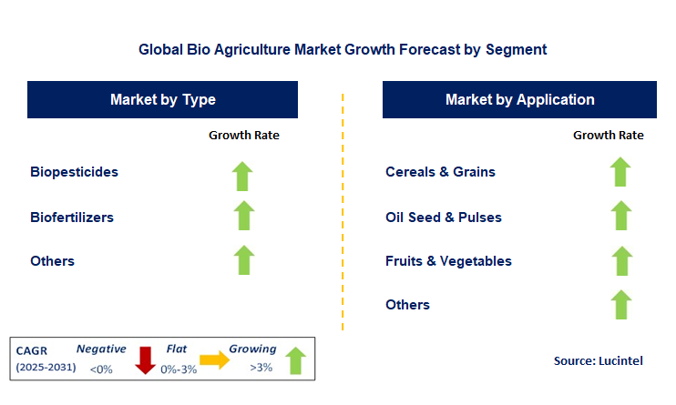 Bio Agriculture Market by Segment