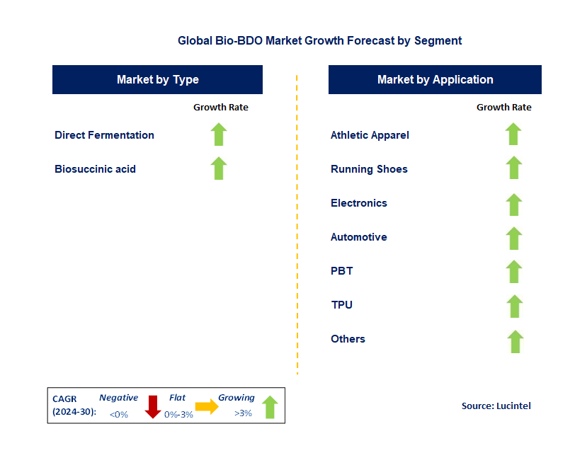 Bio-BDO Market by Segment