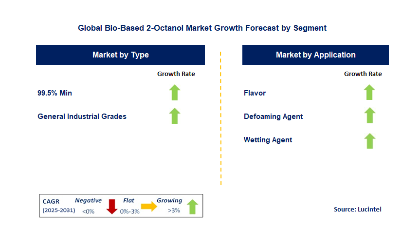 Bio-Based 2-Octanol Market by Segment