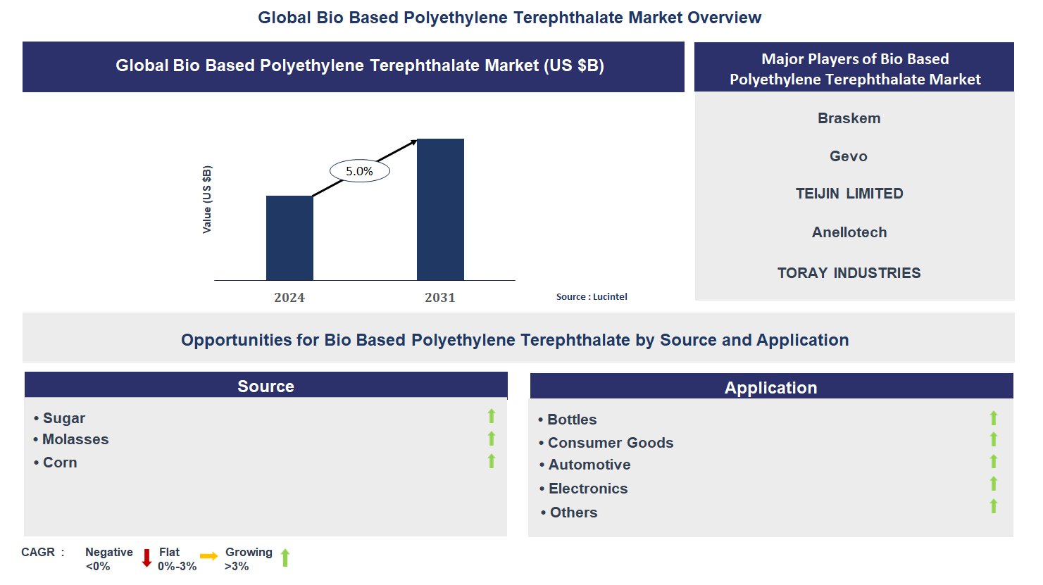 Bio Based Polyethylene Terephthalate Market Trends and Forecast