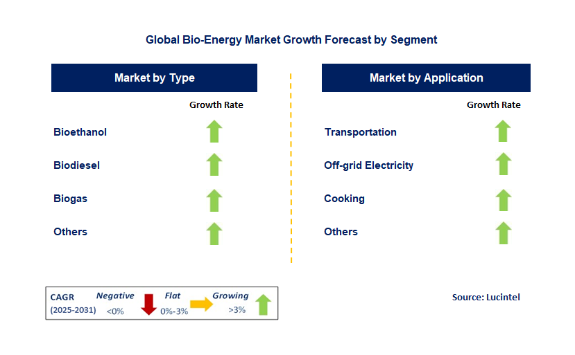 Bio-Energy Market by Segment