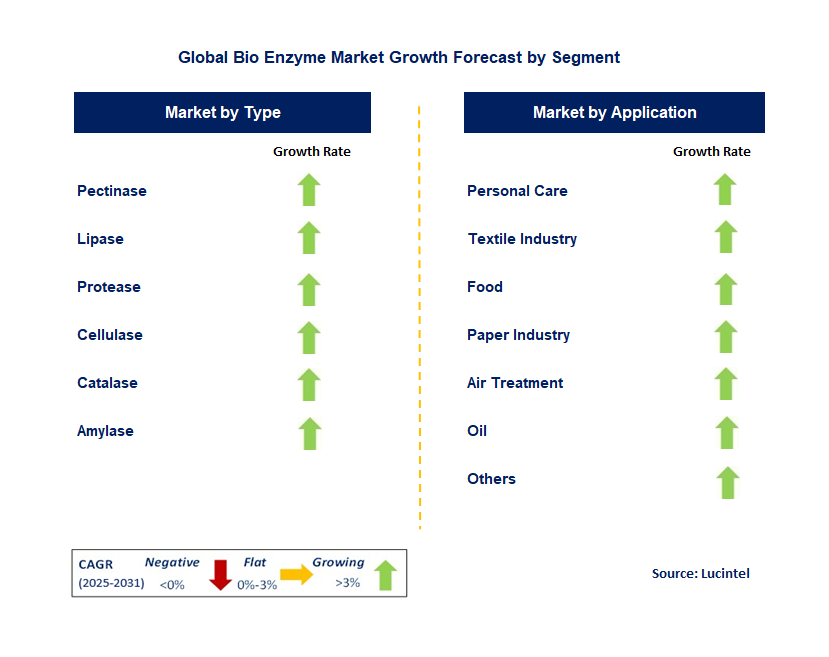 Bio Enzyme Market by Segment