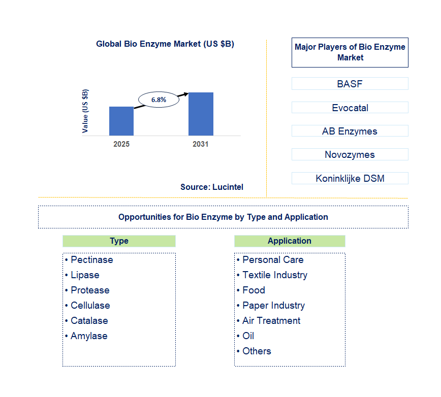 Bio Enzyme Market Trends and Forecast