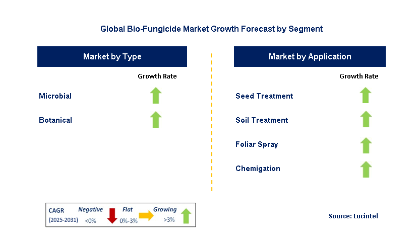 Bio-Fungicide Market by Segment
