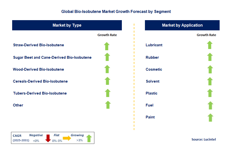 Bio-Isobutene Market by Segment
