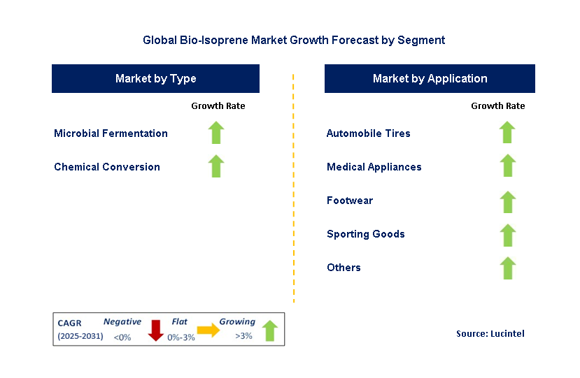 Bio-Isoprene Market by Segment