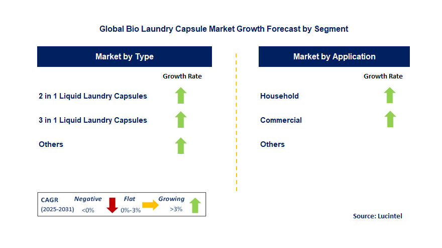 Bio Laundry Capsule Market by Segment