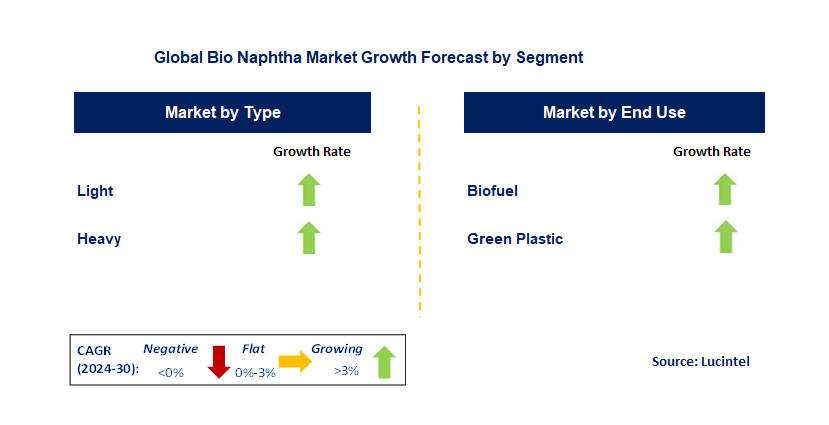 Bio Naphtha Market by Segment
