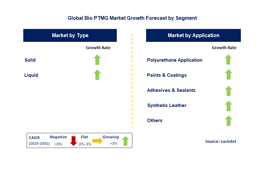 Bio PTMG Market by Segment