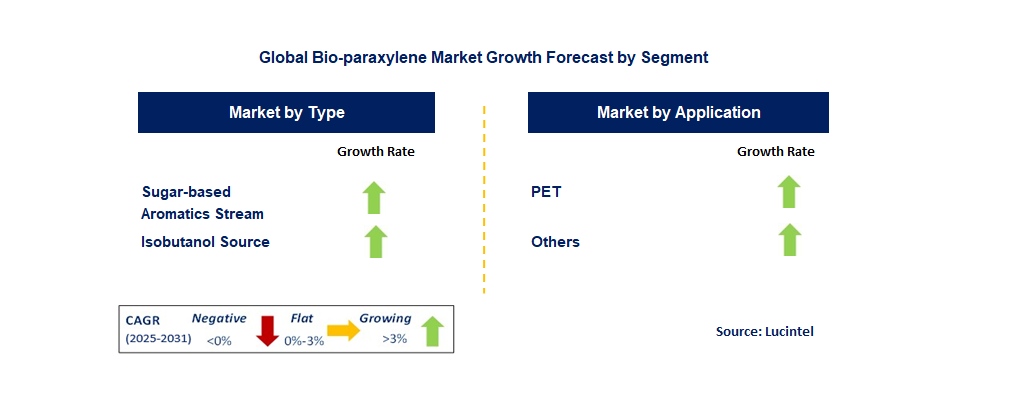 Bio-paraxylene Market by Segment