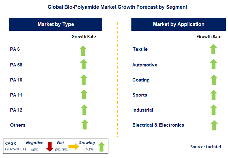 Bio-Polyamide Market by Segment