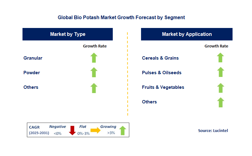 Bio Potash Market by Segment