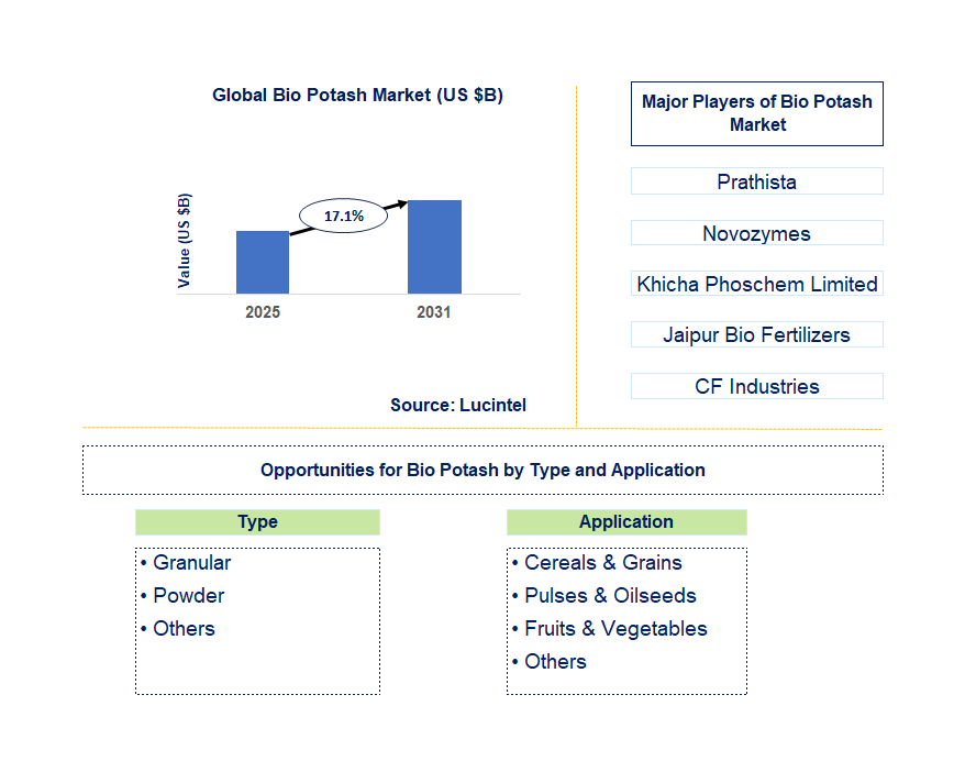 Bio Potash Market Trends and Forecast