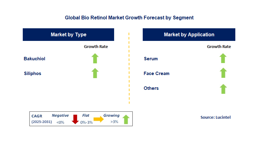 Bio Retinol Market by Segment