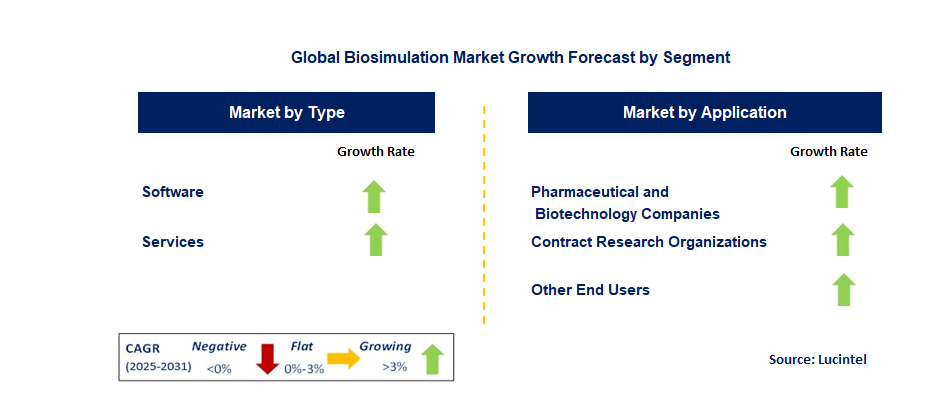 Biosimulation Market by Segment