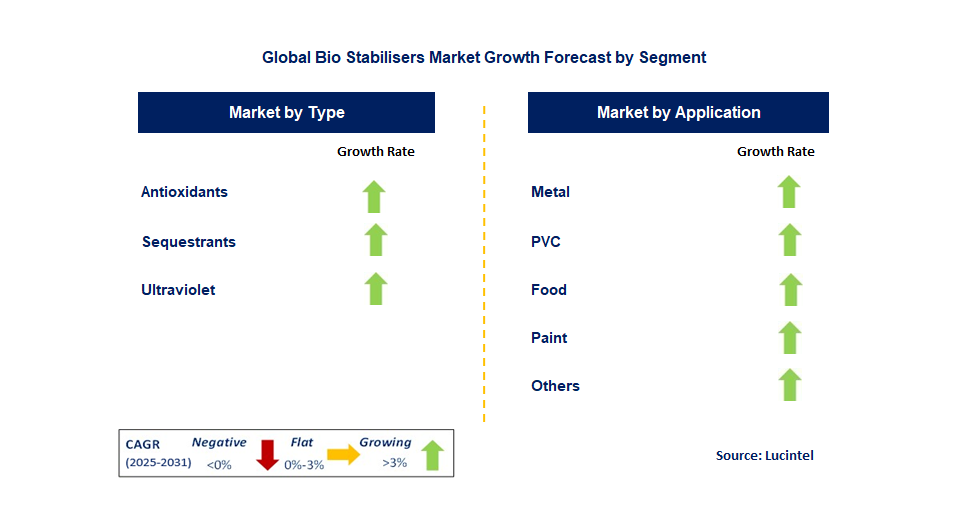 Bio Stabilisers Market by Segment