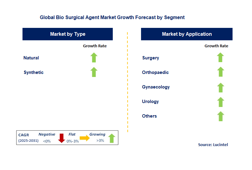Bio Surgical Agent Market by Segment