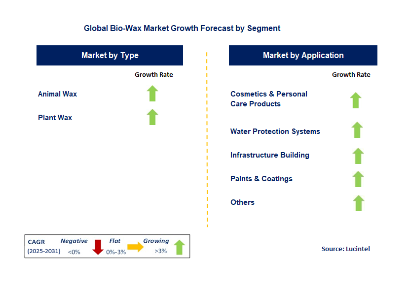Bio-Wax Market by Segment