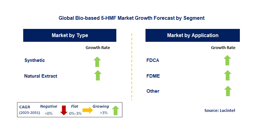 Bio-based 5-HMF Market by Segment
