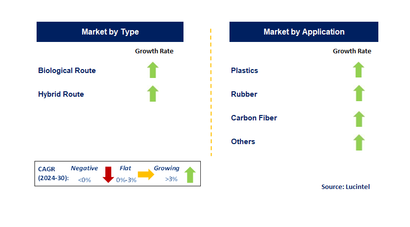 Bio-Based AN by Segment