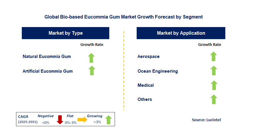 Bio-based Eucommia Gum Market by Segment