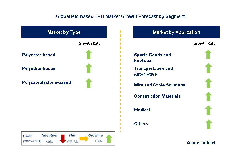 Bio-Based TPU Market by Segment