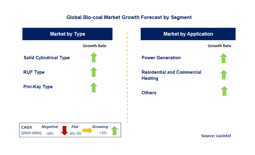 Bio-coal Market by Segment