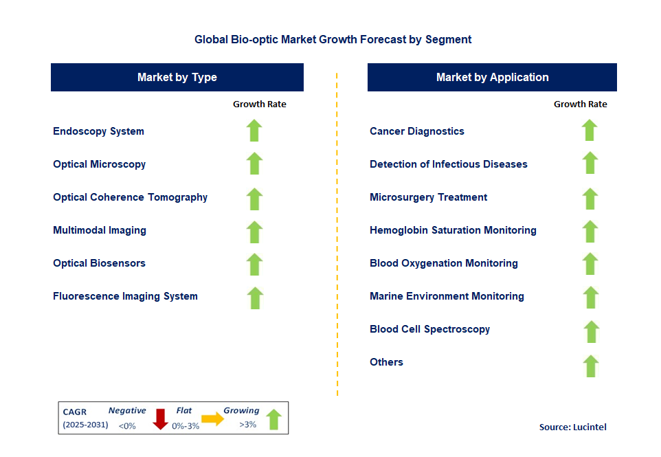 Bio-optic Market by Segment