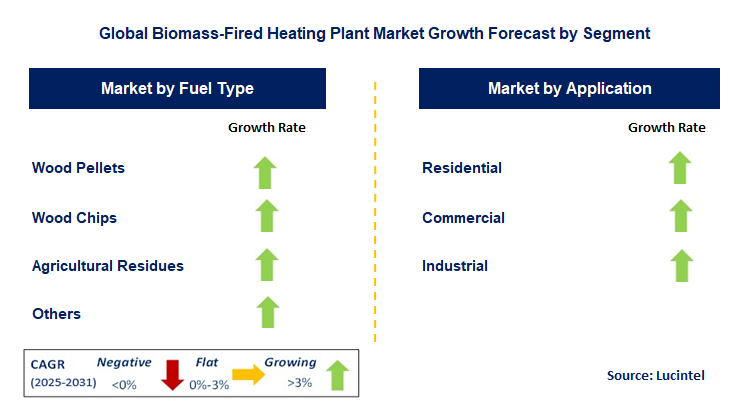 Biomass-Fired Heating Plant Market by Segment