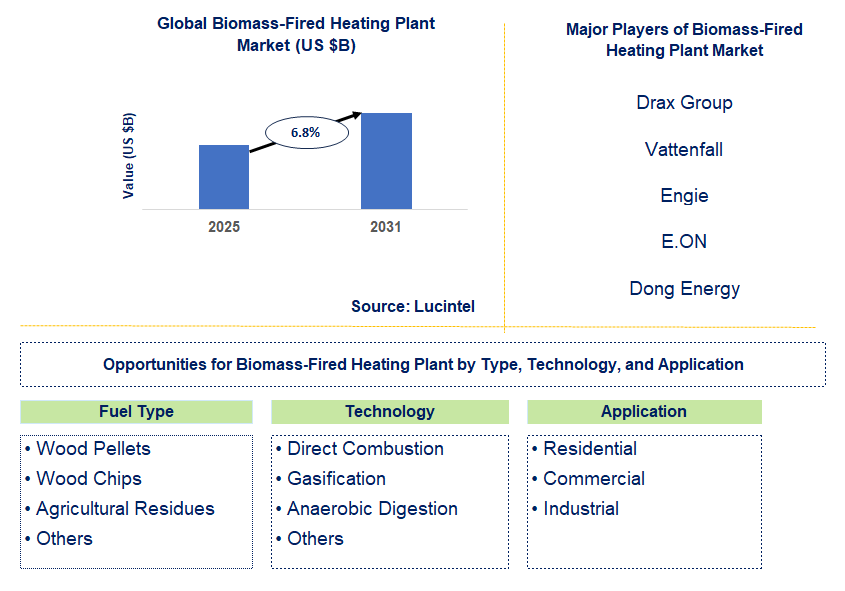 Biomass-Fired Heating Plant Market Trends and Forecast