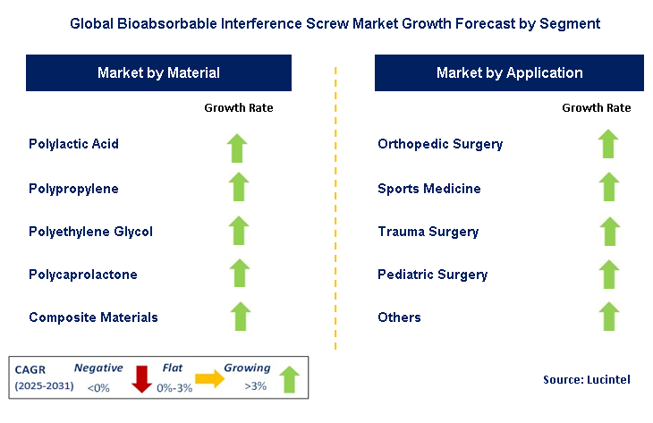 Bioabsorbable Interference Screw Market by Segment