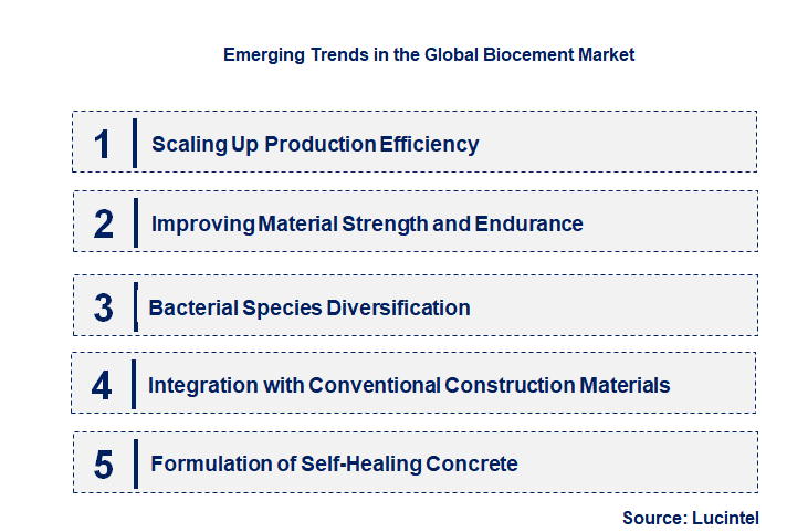 Emerging Trends in the Biocement Market