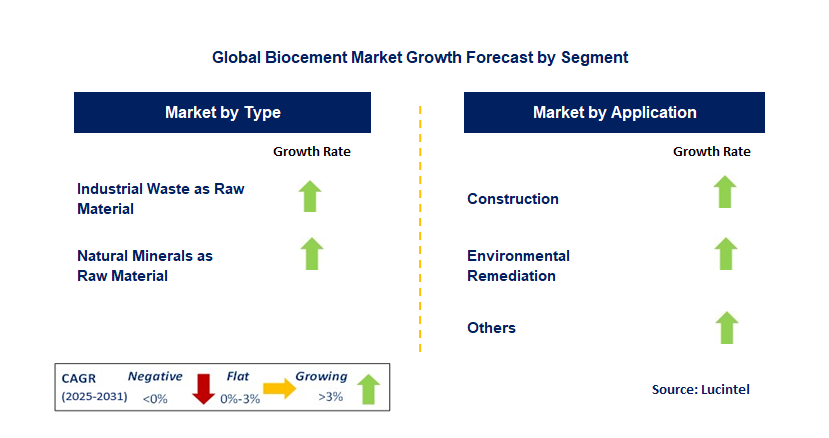 Biocement Market by Segment