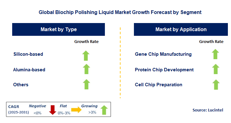 Biochip Polishing Liquid Market by Segment