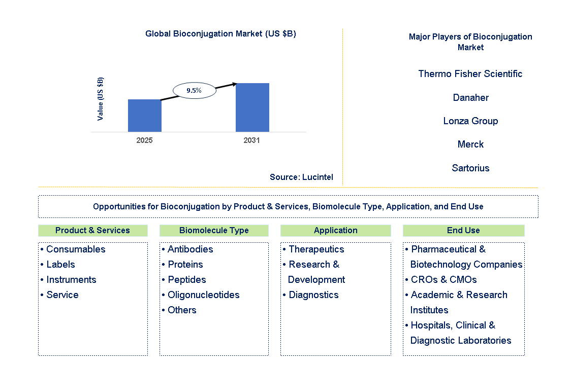 Bioconjugation Market Trends and Forecast