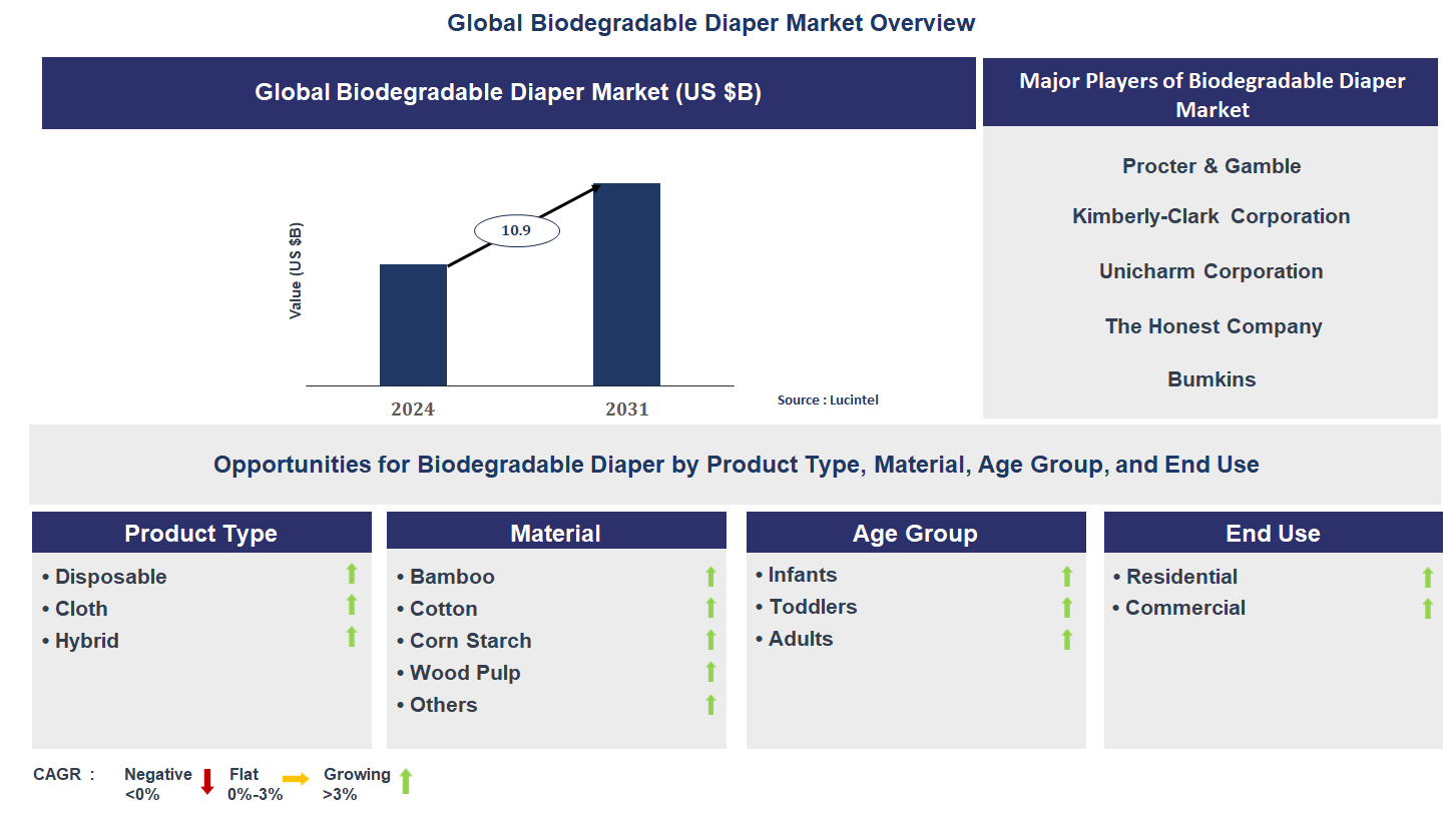 Biodegradable Diaper Market Trends and Forecast