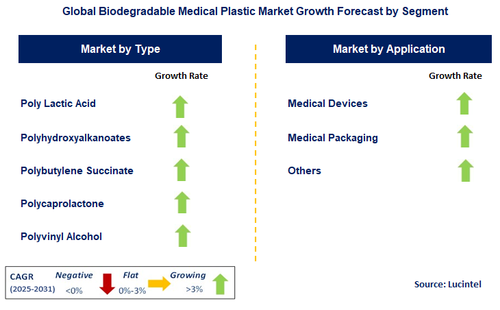 Biodegradable Medical Plastic Market by Segment