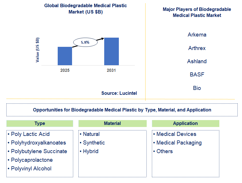 Biodegradable Medical Plastic Market Trends and Forecast