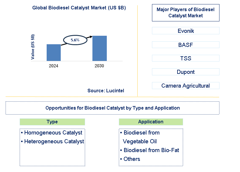 Biodiesel Catalyst Trends and Forecast