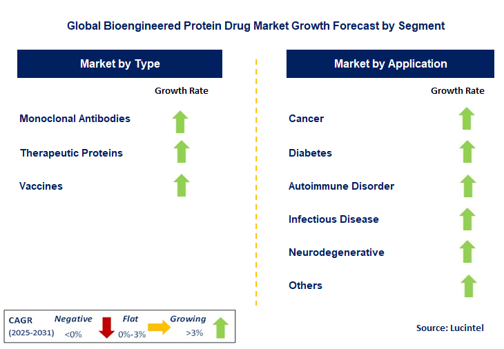 Bioengineered Protein Drug Market by Segment