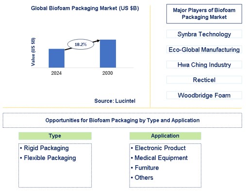 Biofoam Packaging Market Trends and Forecast
